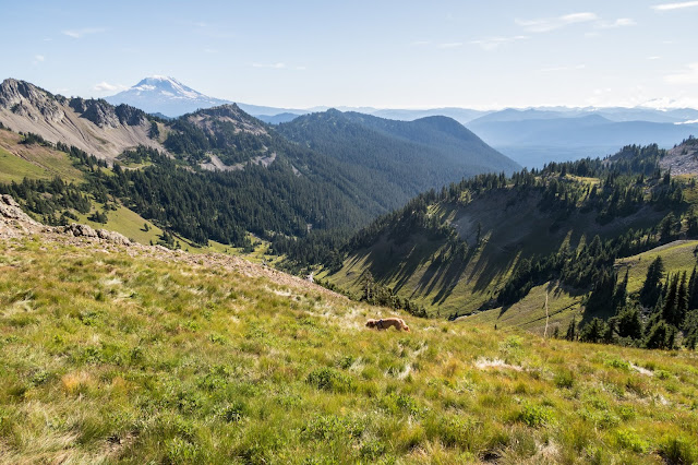 Eric's Hikes: Goat Rocks Wilderness: Goat Lake Loop and Old Snowy