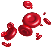 Red Blood cell (seld arah merah) Red Blood cell (seld arah merah)