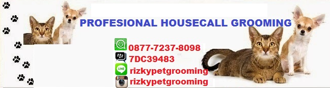 PROFESIONAL HOUSE CALL SALON AND GROOMING: Grooming Mandikan Anjing