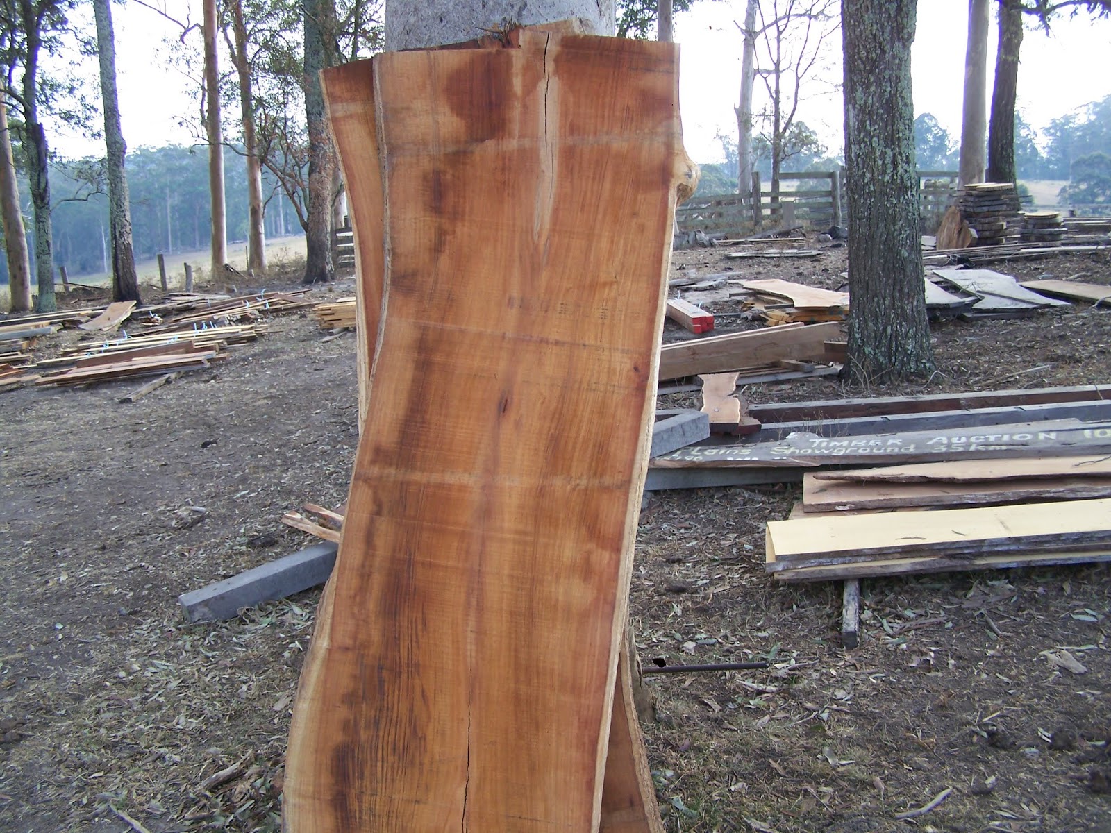 Boutique Timbers TIMBER AUCTION 15 September. Lot photos