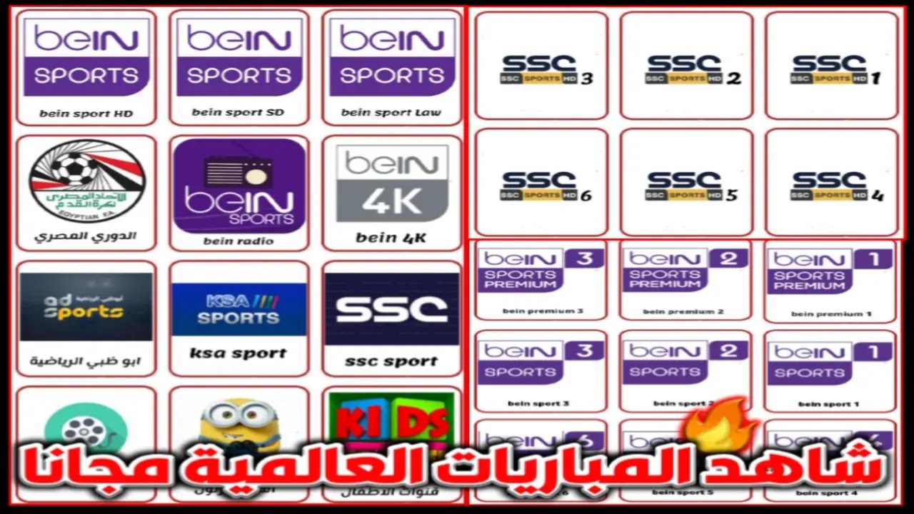 تطبيق يلا فانتازي تيفي لمشاهدة القنوات للاندرويد مجانا