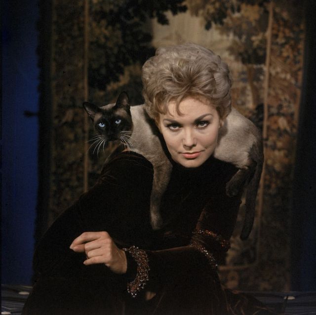 Kim Novak at Her Peak: Stunning Photos from the 1950s and 1960s - 28