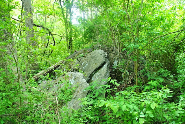 ridley creek state park bike trail