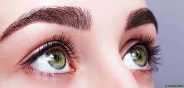 علاج ثعلبة الحواجب بالثوم علاج ثعلبة الحواجب بالثوم