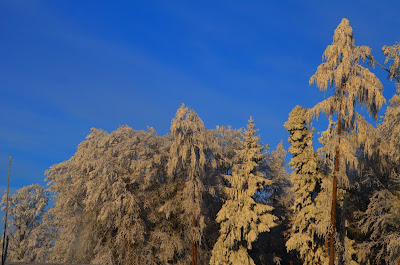 Winter, mùa đông, tél, dimër, zima, зима, 冬季, talv, talvi, Winter, mùa đông, tél, dimër, zima, зима, 冬季, talv, talvi, hiver, χειμώνας, inverno, ウィンター, ziema, žiema, iarnă, зима, vinter, zimné, invierno, zimní, kış, tél,