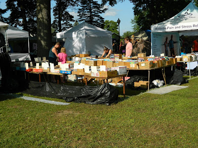 Books at Montrose Blueberry Festival Michigan
