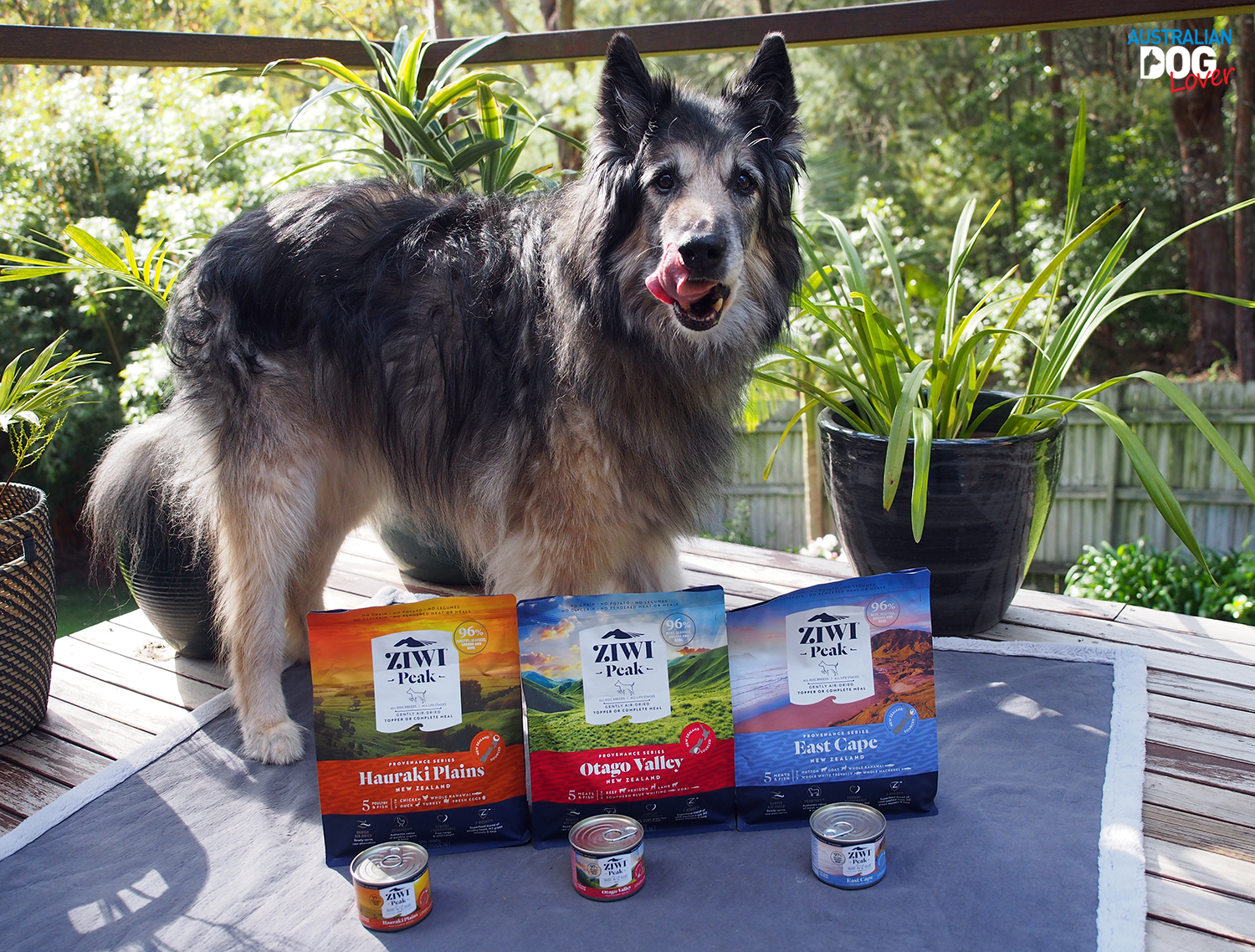 Amazon Com Ziwi Zpddc0454p Us Peak Air Dried Chicken Recipe Dog Food 1 0lb Red Pet Supplies