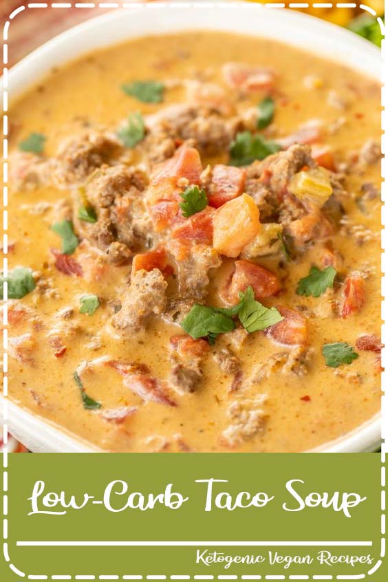 LowCarb Taco Soup FANTASTIC FOOD RECIPES