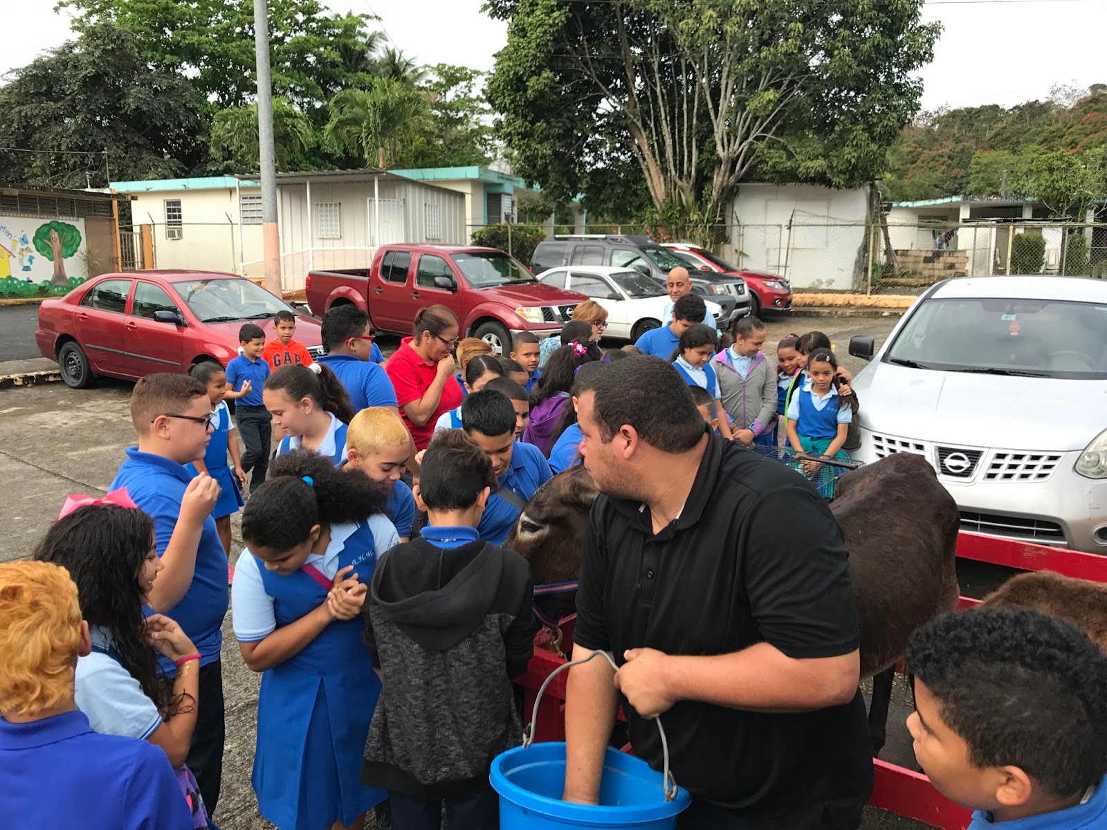 Escuela Amalia H. Mangual