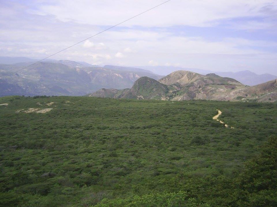 parque, Santuario, rea natural, bosque, laguna, flora, fauna, turismo