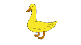 Duck image free