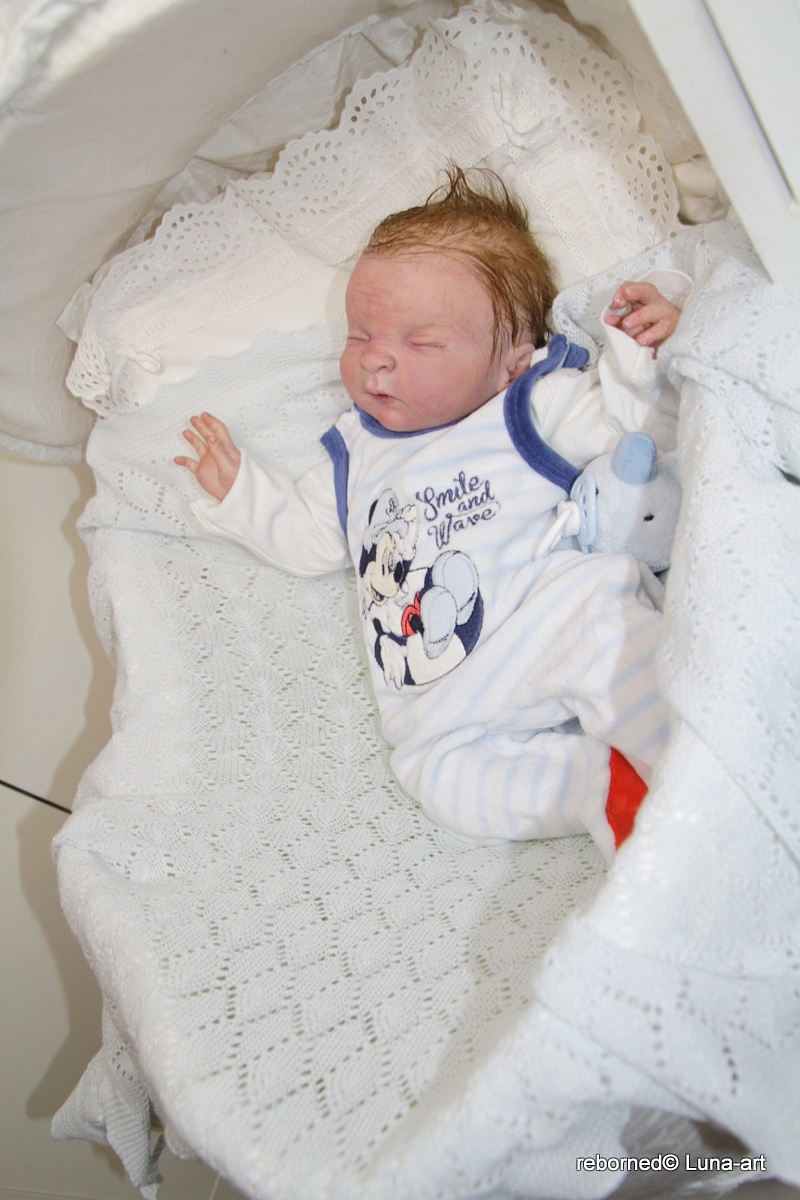 Lunas Bunte Vielfalt ~ und Reborn-Babys: ABout me