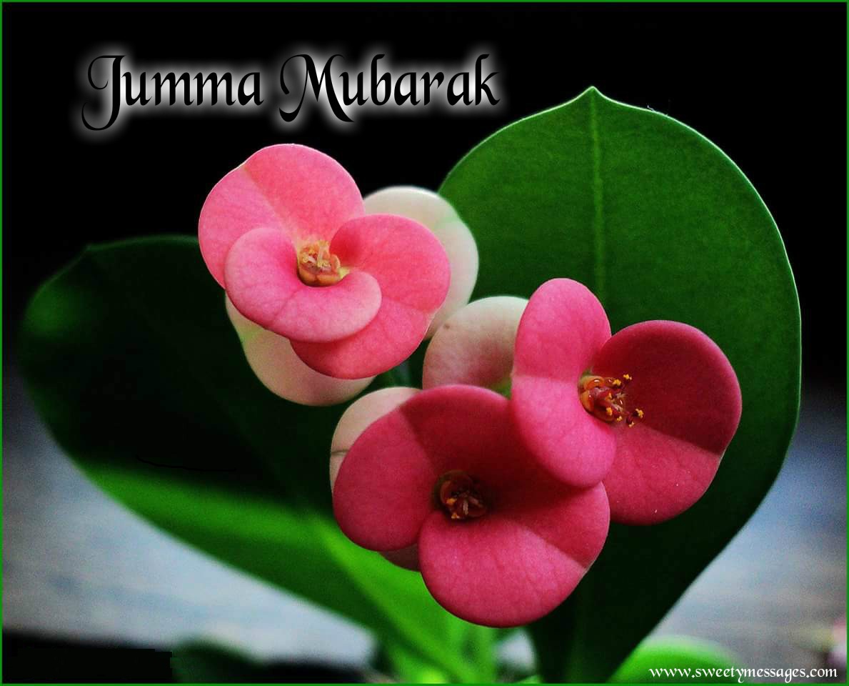 Image result for Jumma mubarak