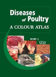 Diseases Of Poultry, A Colour Atlas