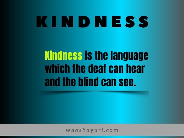 Best Quotes About Libraries Librarians And Library And Information