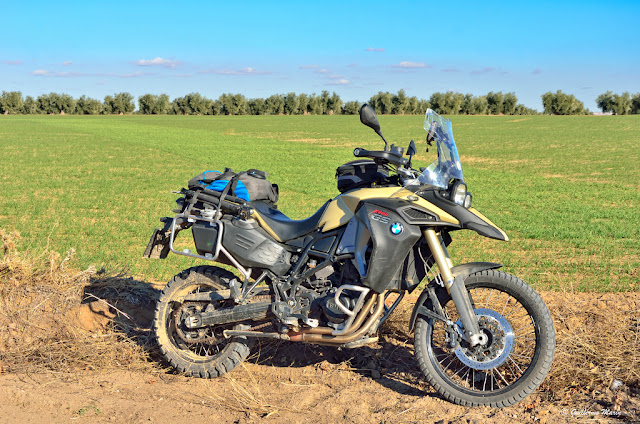 BMW F800GS Adventure. Trail Forever: Castillos y Olivos