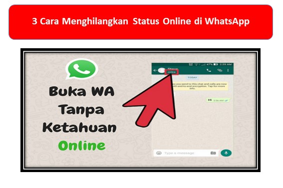 3 Cara Menghilangkan Status Online di WhatsApp