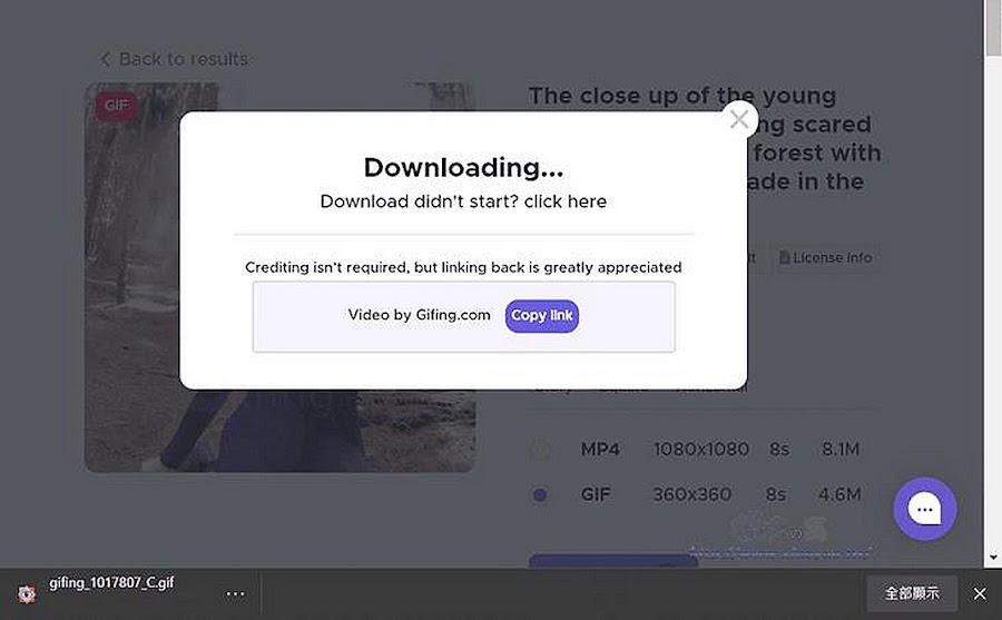 Gifing 動態影像素材網站