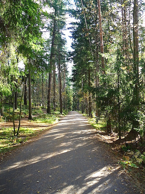 DSC03063.JPG