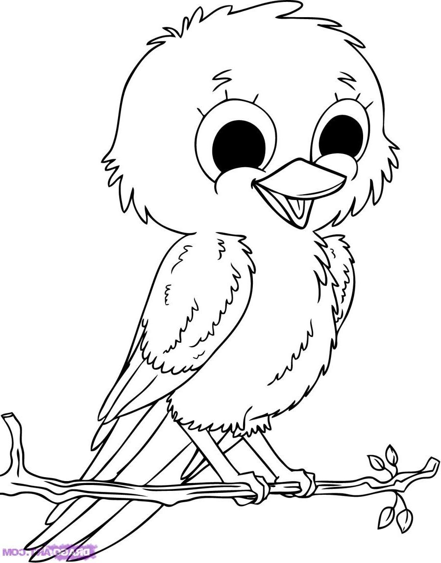 baby bird coloring pages printable - photo #16