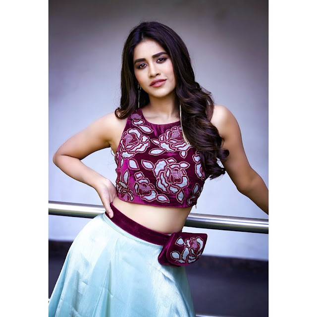 Nabha Natesh looks awesome in Violet Floral Top