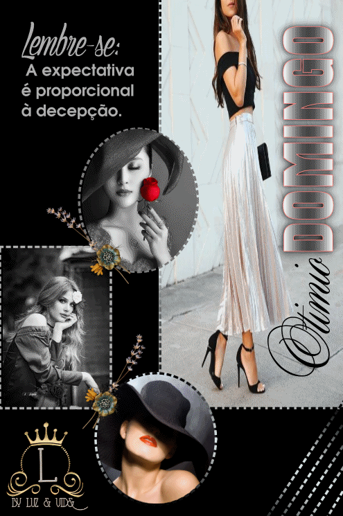 NOVO76%2528MB%2529maryluz.gif