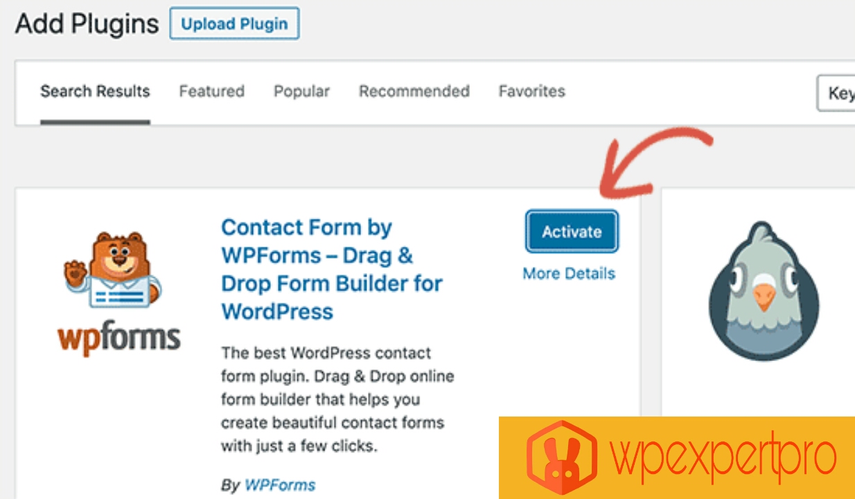 Click activate wordpress plugin