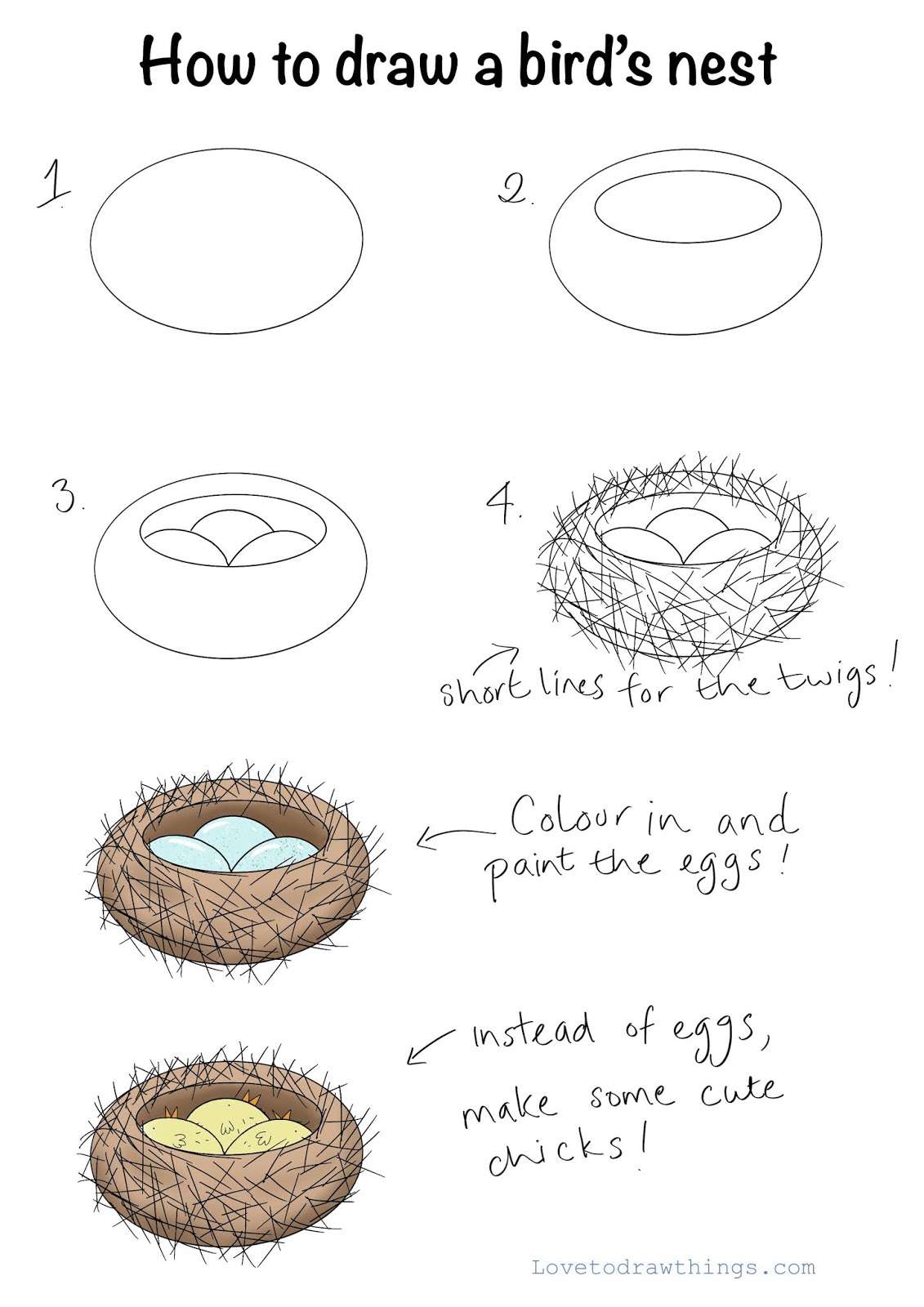 Featured image of post Easy To Draw Birds Nest