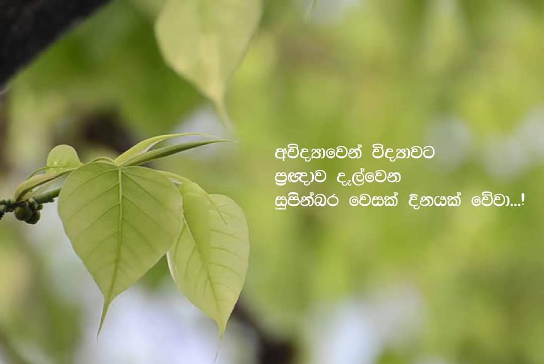 Sinhala wesak greetings වෙසක් ආසිරි Wesak cards Sinhala wesak