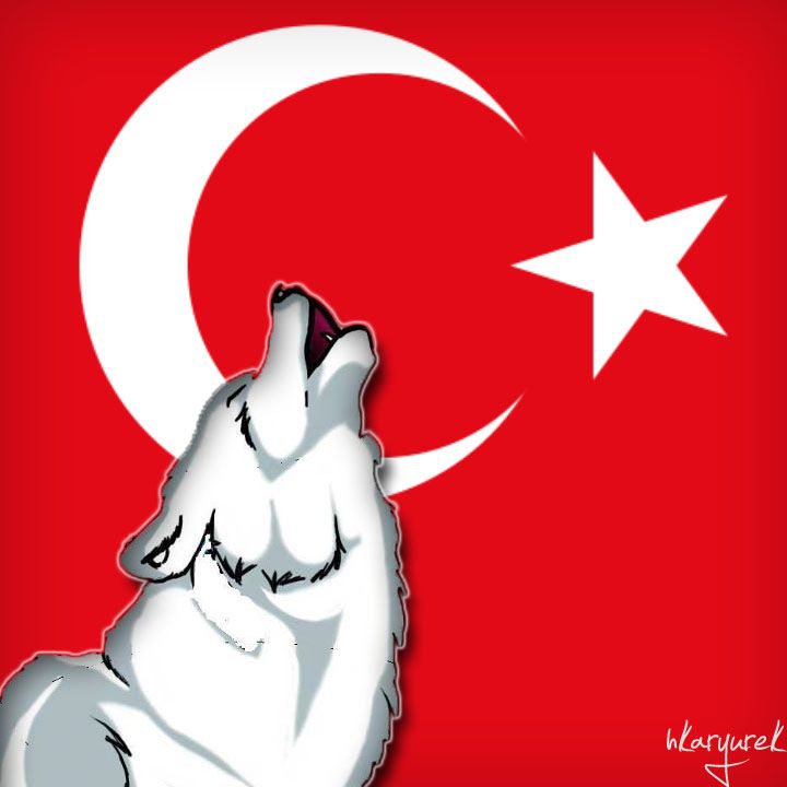 Kurt resimli turk bayraklari 10