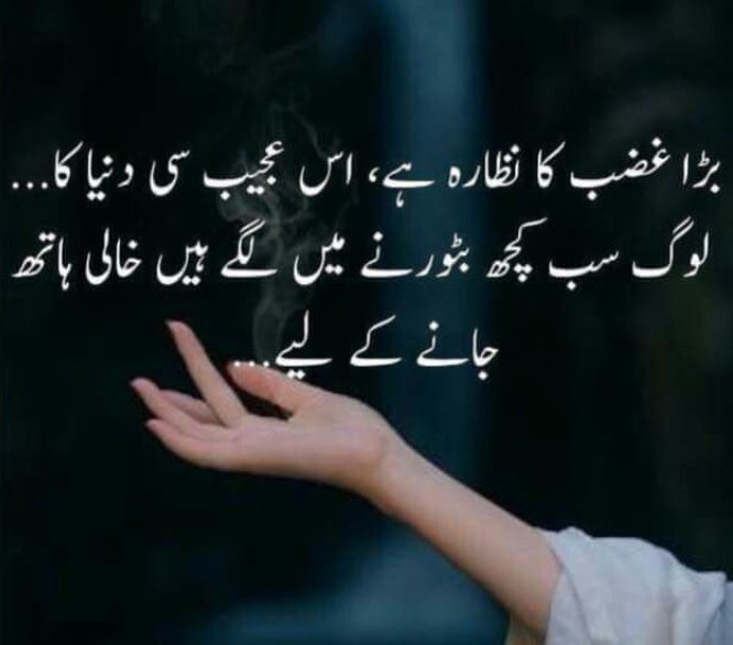 70 Best Quotes In Urdu | Best Quotes in Urdu Language