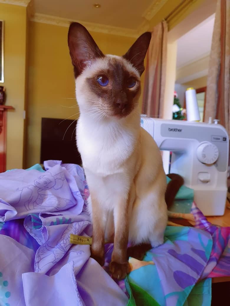 It’s a Fairy’s World For Urban Women Awarded Top 100 Urban Blog / Fashion, Lifestyle and Travel