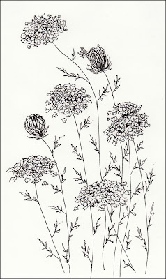 ink drawing of ditch weeds