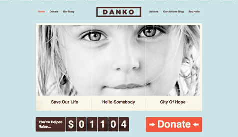 Charity Wordpress Theme