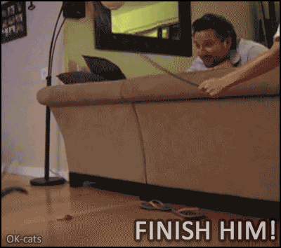Art cat GIF with caption • Finish him! FiNiSH HiM! Ninja cat doing spinning back kicks to man's face Art cat GIF with caption • Finish him! FiNiSH HiM! Ninja cat doing spinning back kicks to man's face