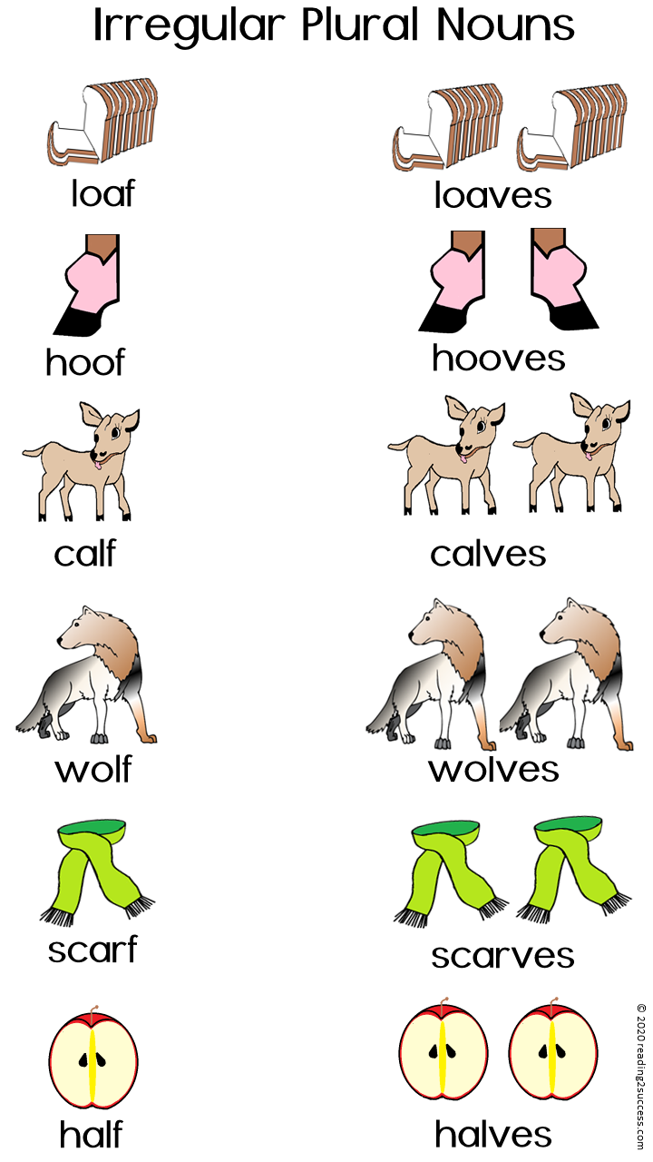 reading2success-irregular-plural-nouns-mice-mouse-and-calf-calves