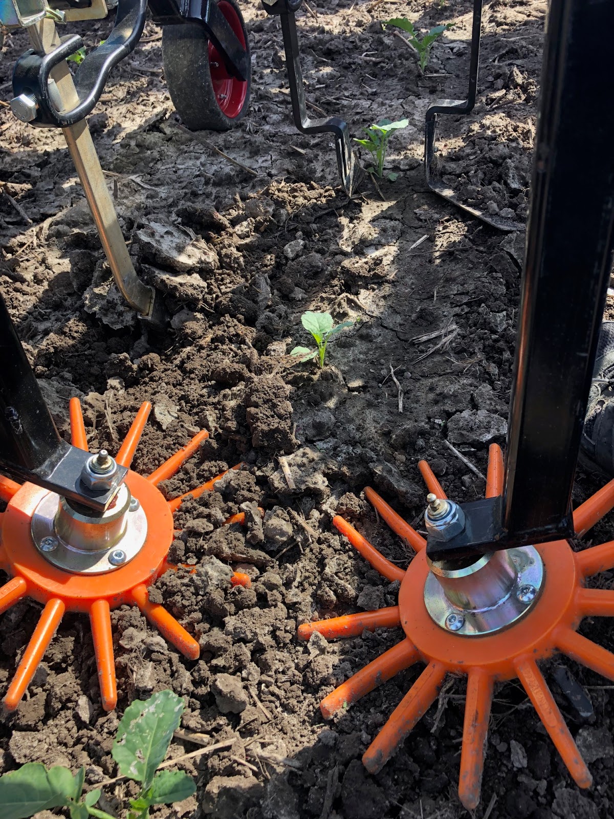 Mechanical weed control highlights