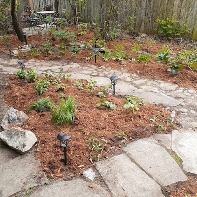 Mount Pleasant East Toronto Shade Garden Makeover After by Paul Jung Gardening Services--a Small Toronto Gardening Company