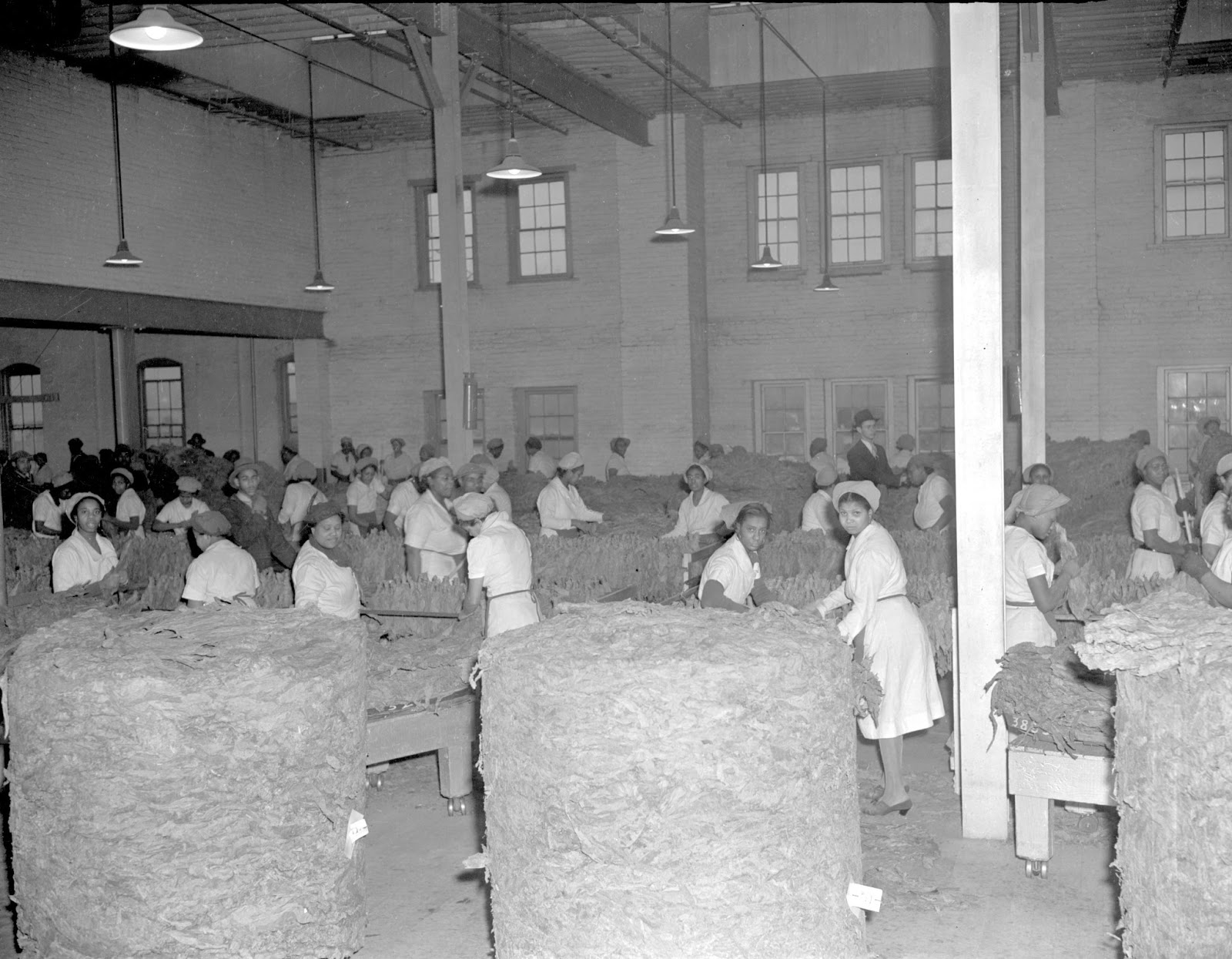 Curiosities & Wonders Lexington Tobacco Warehouse Workers