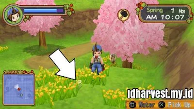 Cara Mendapatkan Bunga di Harvest Moon: Hero of Leaf Valley