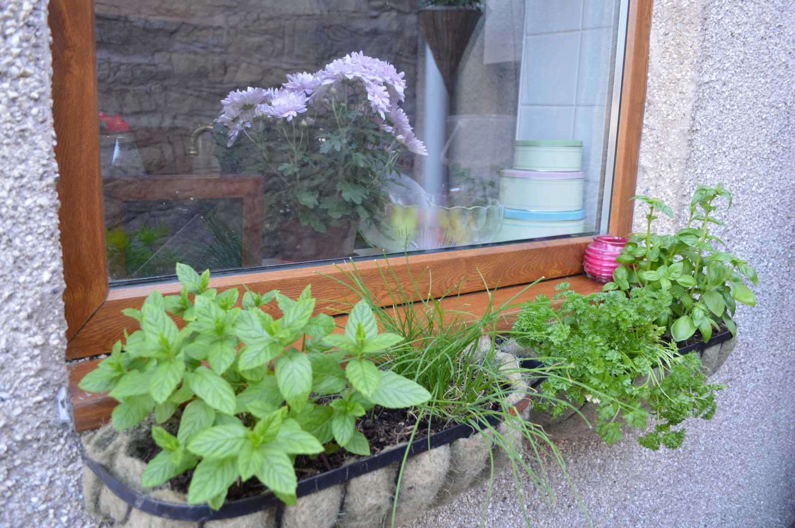 My Little English Kitchen: Window Box Herb Garden
