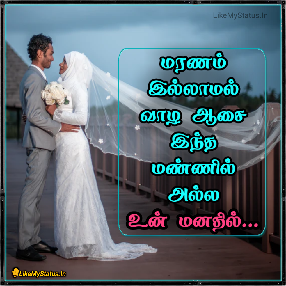 whatsapp dp WhatsApp profile whatsapp status tamil Images •  ❤꧁குமரன்🌹6369471620🤙 (@6369471620kumaran) on ShareChat