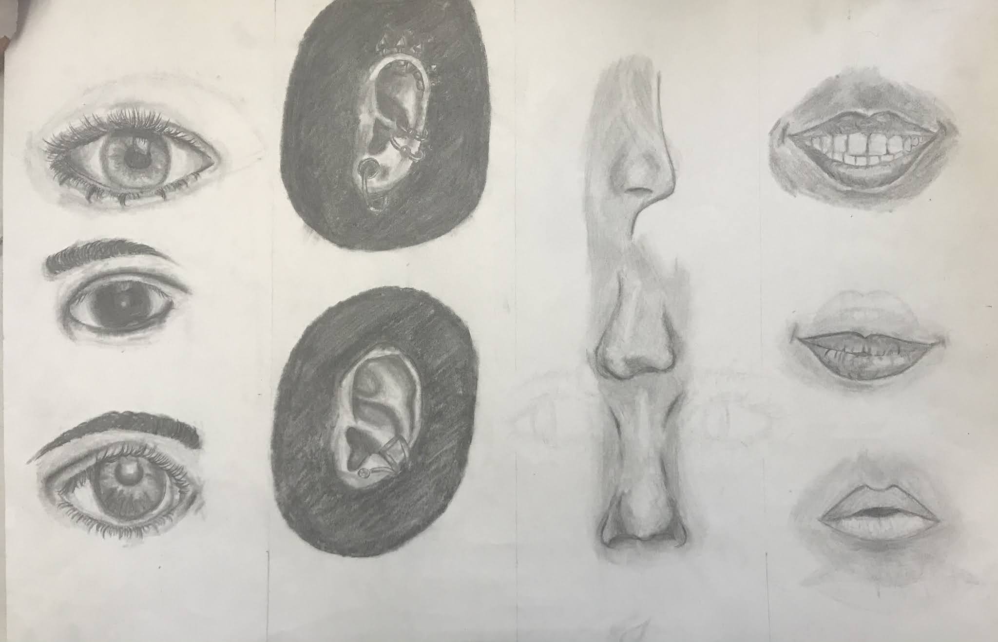 Art 1- Facial Features