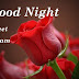 Top 10  Good Night Rose Images, Pictures, Photos, Greetings for WhatsApp