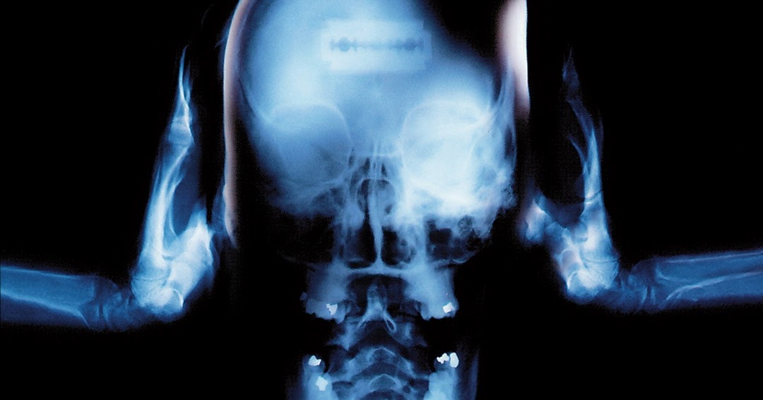 Rollins Band Come In & Burn (1997) Mediasurfer.ch