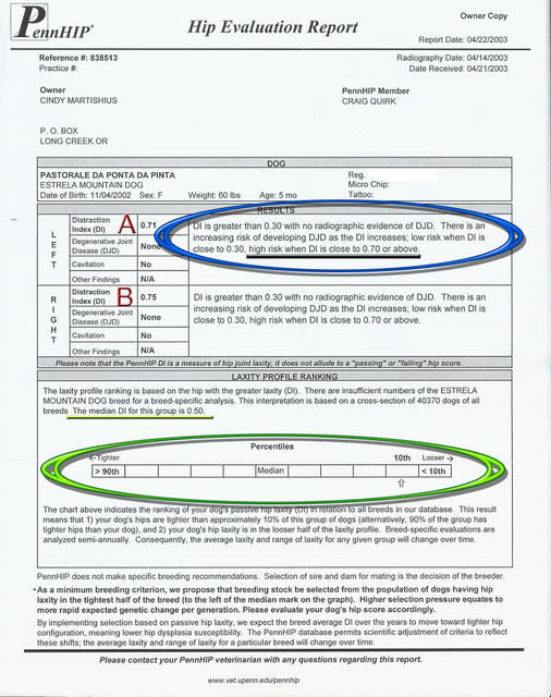 Bonea Fideo Understanding OFA/PennHip Scores