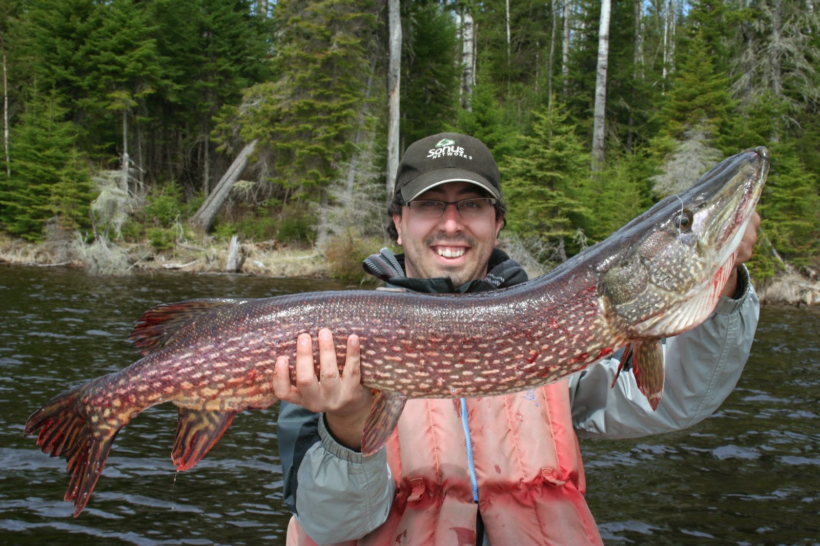 Black Bear Lodge Blog: Biggest Pike of 2014