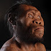 Homo Naledi