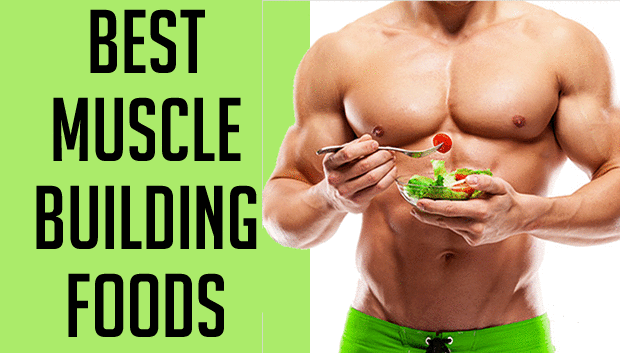 muscle building foods