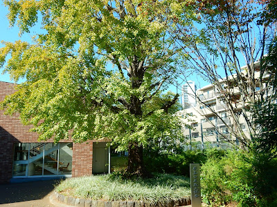 徳川慶喜終焉の地